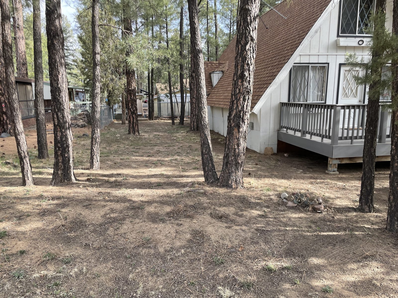 The same yard after pine-needle and debris cleanup