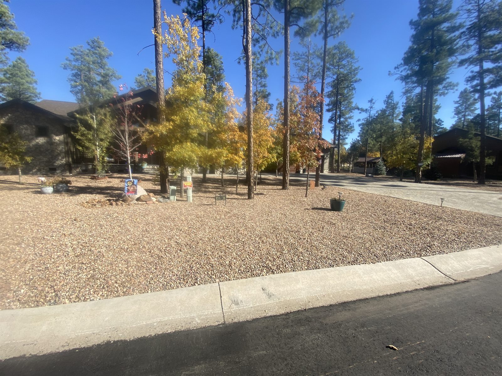 Broad decorative-gravel front yard with mature pine trees, autumn foliage, and a curved driveway