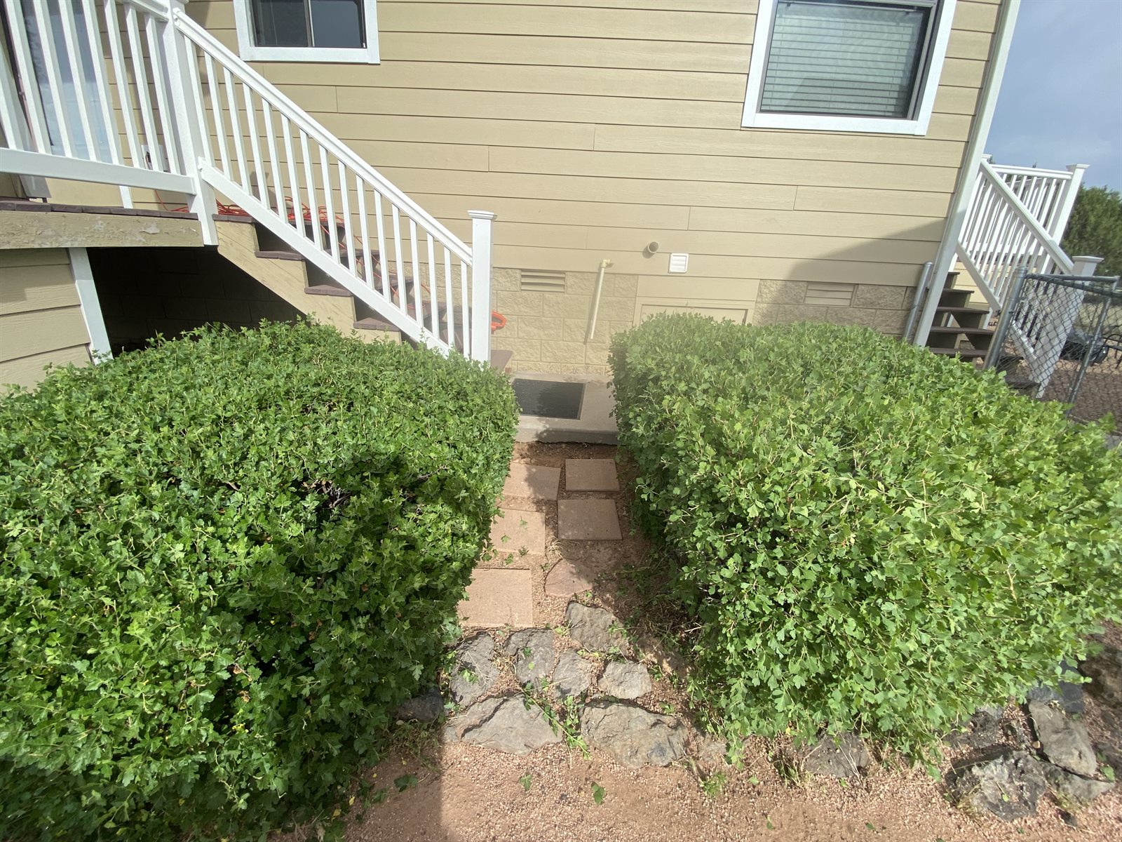Two neatly shaped green shrubs bordering a stone walkway beside white deck stairs