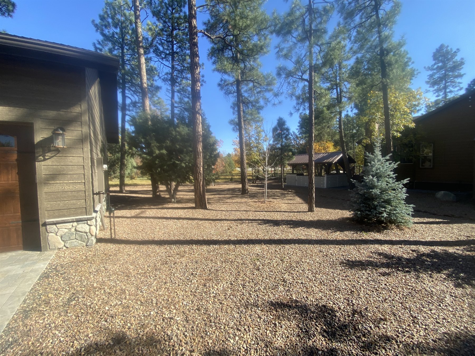 A freshly cleaned and landscaped yard among tall White Mountains pines